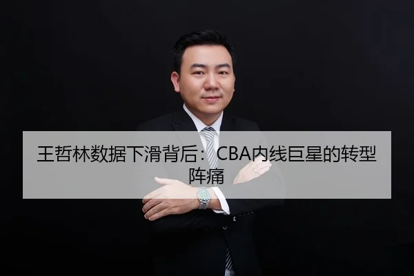 王哲林数据下滑背后：CBA内线巨星的转型阵痛